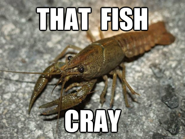 That  Fish Cray   Cray Crayfish