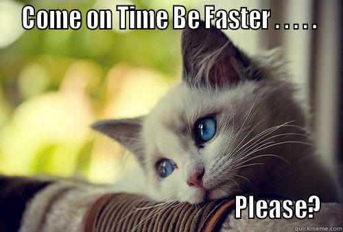 Time is so slow! -  COME ON TIME BE FASTER . . . . .                                                   PLEASE? First World Problems Cat