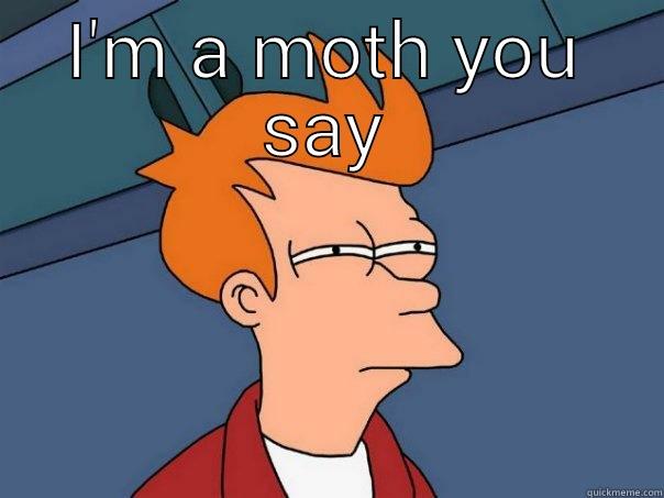 I'M A MOTH YOU SAY  Futurama Fry