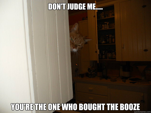 don't judge me..... you're the one who bought the booze  Mollys bender