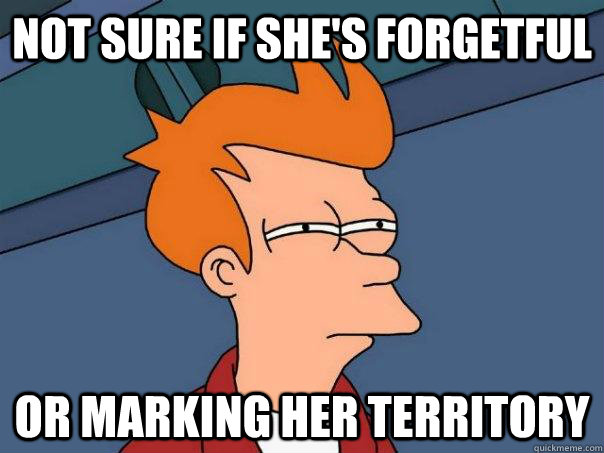 not sure if she's forgetful or marking her territory - not sure if she's forgetful or marking her territory  Futurama Fry