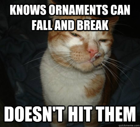 Knows Ornaments can fall and break doesn't hit them - Knows Ornaments can fall and break doesn't hit them  Good Cat Greg