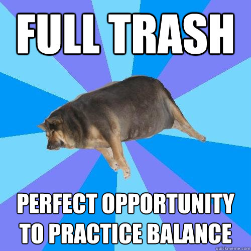 full trash perfect opportunity to practice balance  Lazy college student