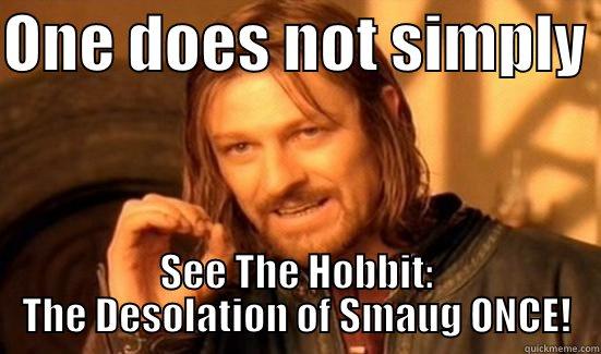 ONE DOES NOT SIMPLY  SEE THE HOBBIT: THE DESOLATION OF SMAUG ONCE! Boromir