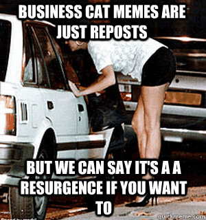 Business cat memes are just reposts But we can say it's a a resurgence if you want to  Karma Whore