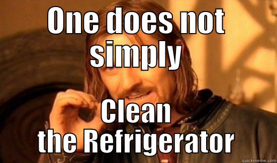 ONE DOES NOT SIMPLY CLEAN THE REFRIGERATOR Boromir