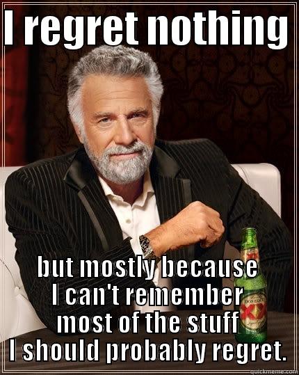 I REGRET NOTHING  BUT MOSTLY BECAUSE I CAN'T REMEMBER MOST OF THE STUFF I SHOULD PROBABLY REGRET. The Most Interesting Man In The World