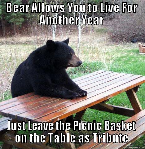 BEAR ALLOWS YOU TO LIVE FOR ANOTHER YEAR JUST LEAVE THE PICNIC BASKET ON THE TABLE AS TRIBUTE waiting bear