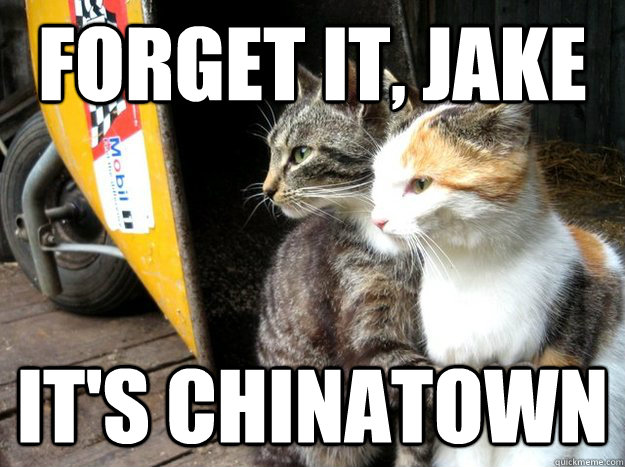 Forget it, Jake it's chinatown  Restraining Cat