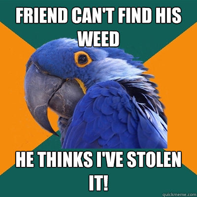 Friend can't find his weed he thinks i've stolen it!  Paranoid Parrot