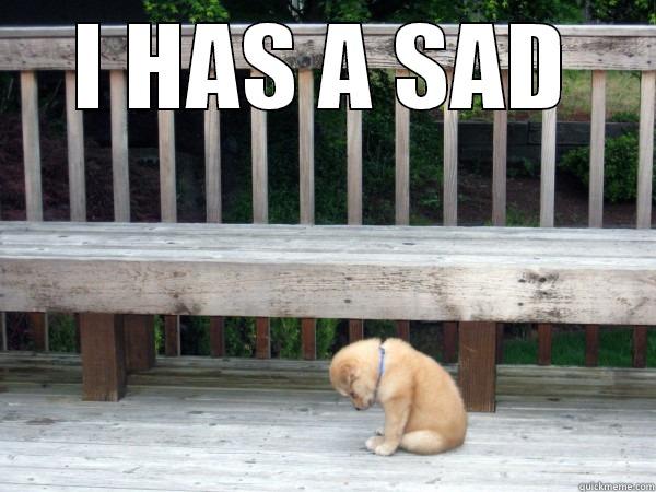 Sad puppy has a sad  - I HAS A SAD  Misc