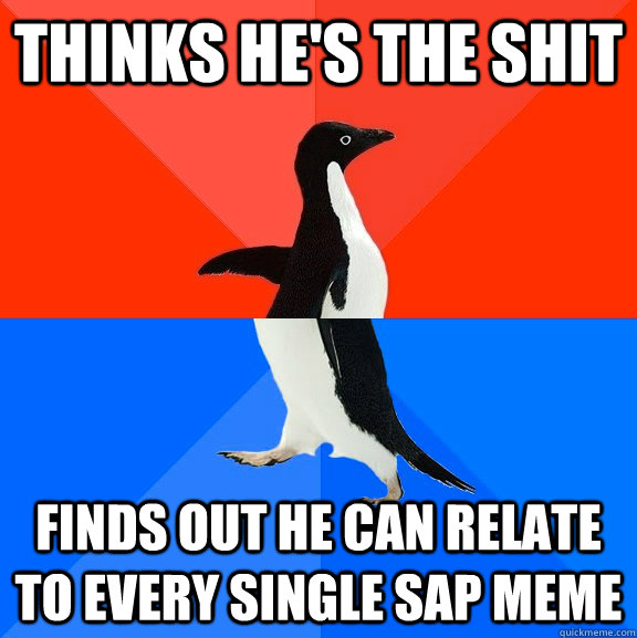 Thinks he's the shit finds out he Can relate to every single SAP meme  Socially Awesome Awkward Penguin
