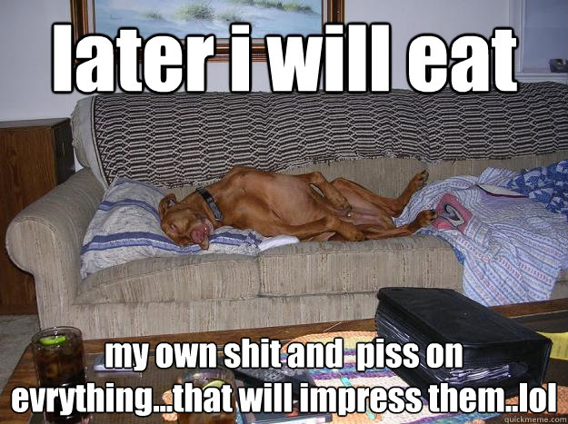 later i will eat  my own shit and  piss on evrything...that will impress them..lol  Doing It Doggy Style