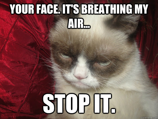 YOUR FACE. IT'S BREATHING MY AIR... STOP IT. - YOUR FACE. IT'S BREATHING MY AIR... STOP IT.  Are You Kidding Grumpy Cat