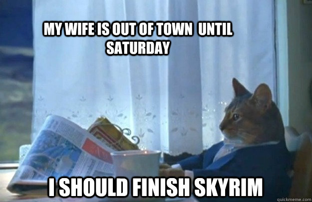My wife is out of town  until saturday I should finish skyrim  Sophisticated Cat