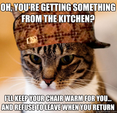 Oh, you're getting something from the kitchen? I'll keep your chair warm for you... and refuse to leave when you return  Scumbag Cat