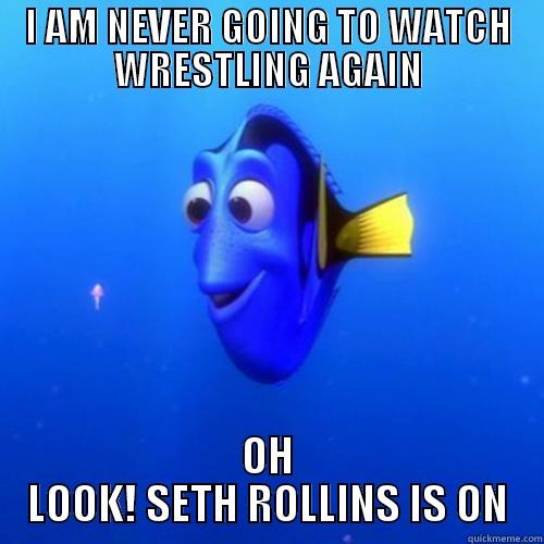 HEY LOOK - I AM NEVER GOING TO WATCH WRESTLING AGAIN OH LOOK! SETH ROLLINS IS ON dory