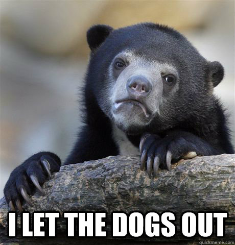 I let the dogs out  Confession Bear