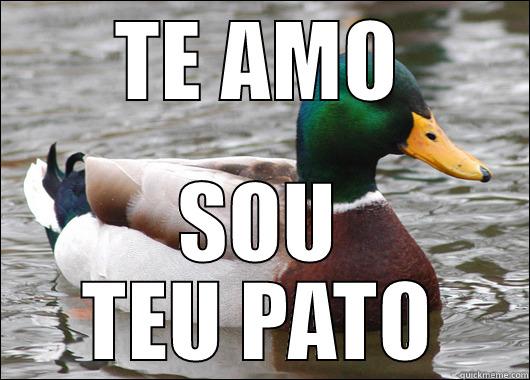 TE AMO SOU TEU PATO Actual Advice Mallard