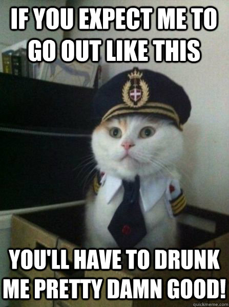 If you expect me to go out like this You'll have to drunk me pretty damn good!   Captain kitteh