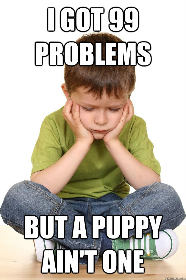 I got 99 problems  but a puppy ain't one  First grade problems