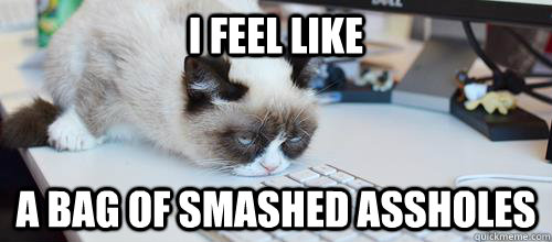 I FEEL LIKE  A BAG OF SMASHED ASSHOLES - I FEEL LIKE  A BAG OF SMASHED ASSHOLES  smashed assholes