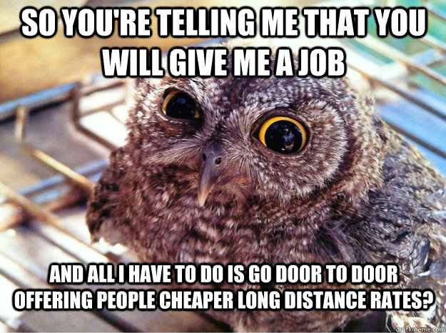 So you're telling me that you will give me a job and all i have to do is go door to door offering people cheaper long distance rates? - So you're telling me that you will give me a job and all i have to do is go door to door offering people cheaper long distance rates?  Skeptical Owl