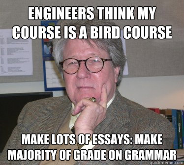 Engineers think my course is a bird course Make lots of essays: Make majority of grade on grammar  Humanities Professor