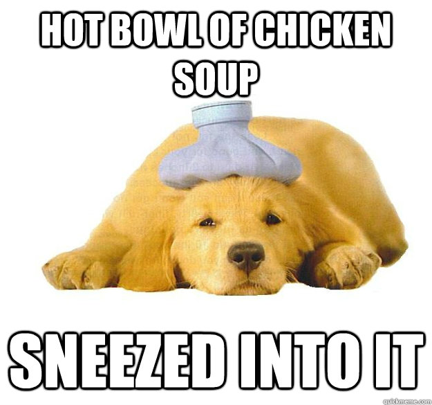 Hot bowl of chicken soup sneezed into it  Sick As A Dog