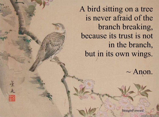 a bird sitting on a tree is never afraid of the branch a bird sitting on a tree is never afraid of the branch