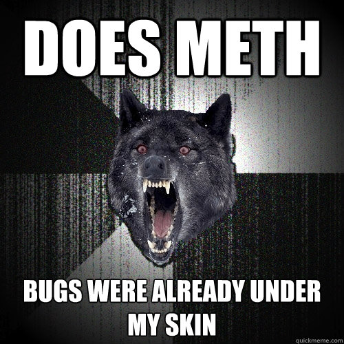 does meth bugs were already under my skin  Insanity Wolf
