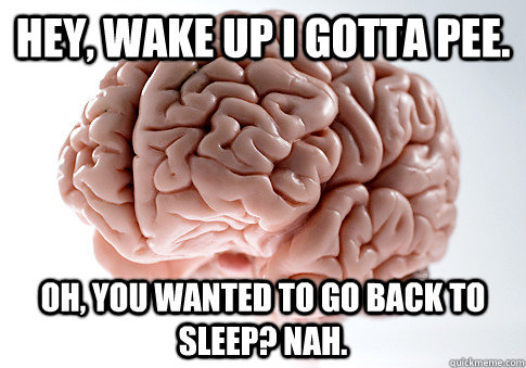Hey, wake up i gotta pee. Oh, you wanted to go back to sleep? nah.  Scumbag Brain