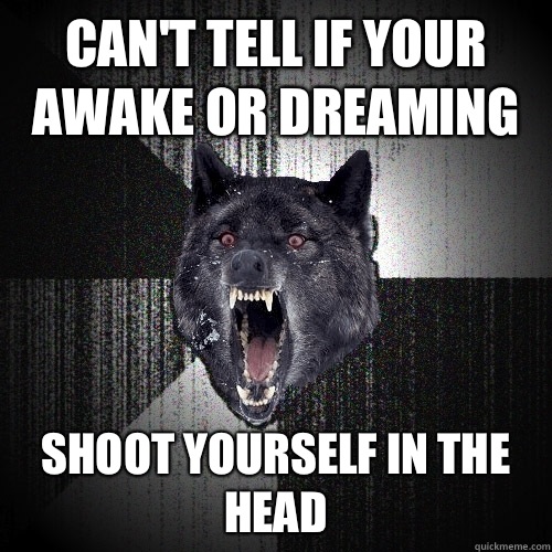 Can't tell if your awake or dreaming Shoot yourself in the head  Insanity Wolf