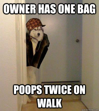 OWNER HAS ONE BAG POOPS TWICE ON WALK  