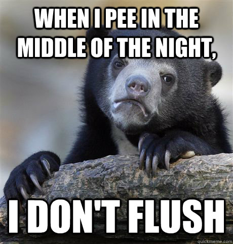 When I pee in the middle of the night, I don't flush  Confession Bear