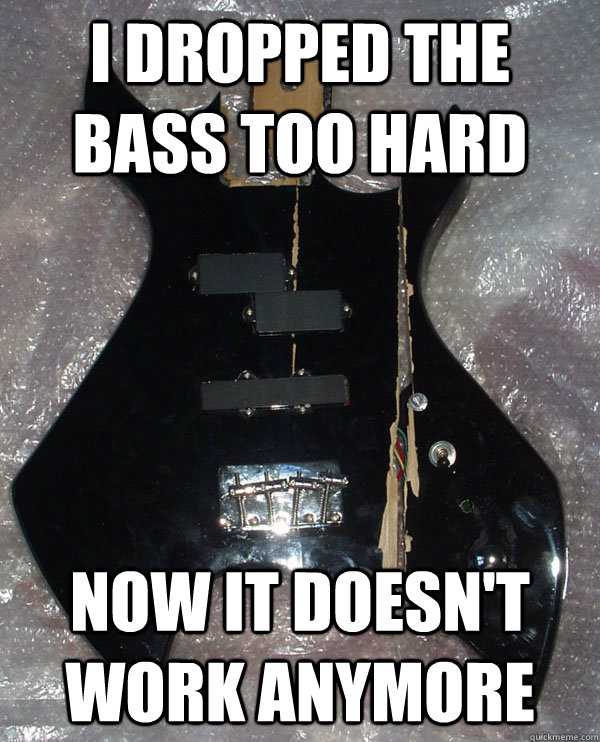 I dropped the bass too hard Now it doesn't work anymore Bad Drop the