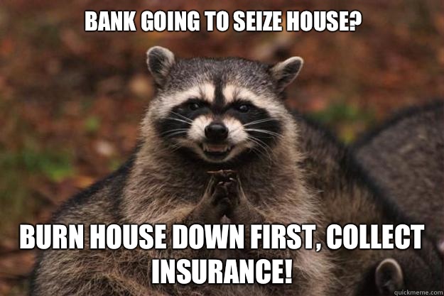 Bank going to seize house? Burn house down first, collect insurance!  Evil Plotting Raccoon
