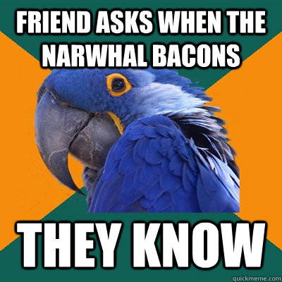 Friend asks when the narwhal bacons they know  Paranoid Parrot