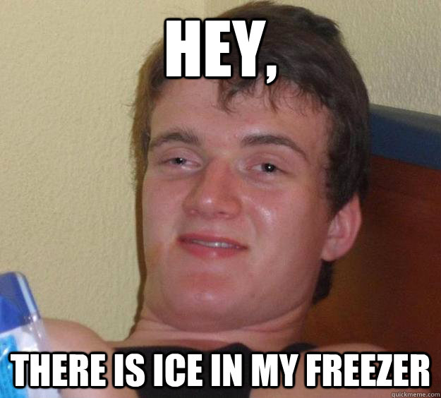 Hey, there is ice in my freezer  10 Guy