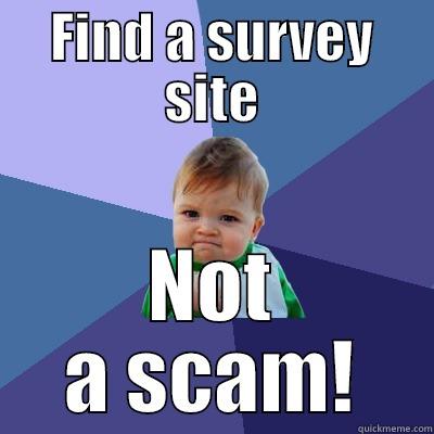 FIND A SURVEY SITE NOT A SCAM! Success Kid