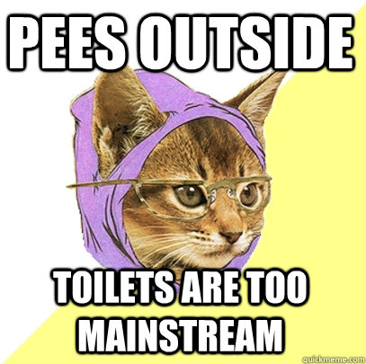 Pees outside Toilets are too mainstream  Hipster Kitty