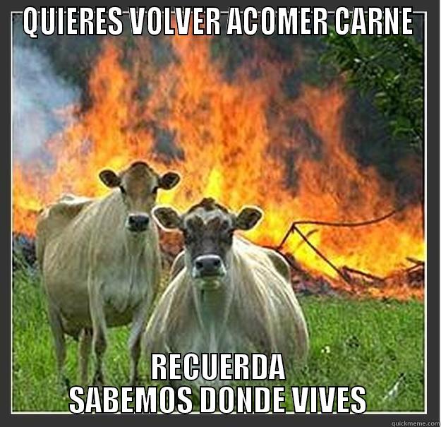 QUIERES VOLVER ACOMER CARNE RECUERDA SABEMOS DONDE VIVES Evil cows