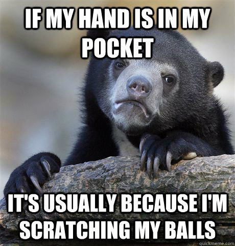If my hand is in my pocket it's usually because i'm scratching my balls  Confession Bear