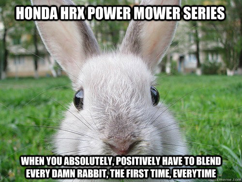 Honda HRX Power mower Series When you absolutely, positively have to blend every damn rabbit, the first time, everytime  Rabbit webcam