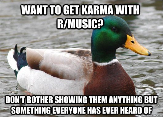 WANT TO get KARMA WITH R/MUSIC? Don't bother showing them anything but something everyone has ever heard of  Actual Advice Mallard