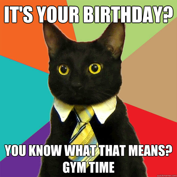 It's your birthday? You know what that means?
GYM TIME - It's your birthday? You know what that means?
GYM TIME  Business Cat