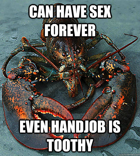 can have sex forever even handjob is toothy - can have sex forever even handjob is toothy  Bad Luck Lobster