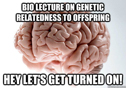 BIO LECTURE ON GENETIC RELATEDNESS TO OFFSPRING HEY LET'S GET TURNED ON!  Scumbag Brain