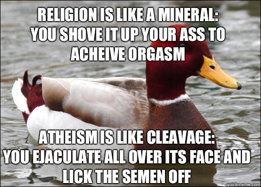 Religion is like a mineral:
You shove it up your ass to acheive orgasm Atheism is like cleavage:
You ejaculate all over its face and lick the semen off  Malicious Advice Mallard