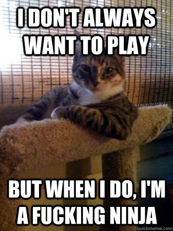 I don't always want to play but when I do, I'm a fucking ninja  The Most Interesting Cat in the World